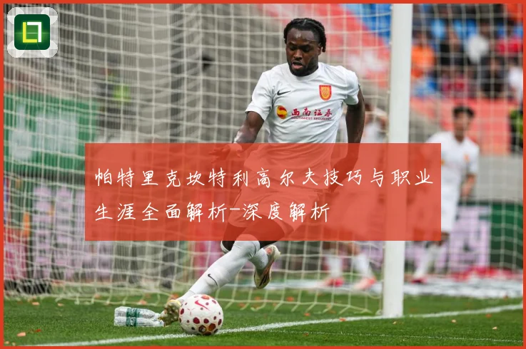 帕特里克坎特利高尔夫技巧与职业生涯全面解析-深度解析