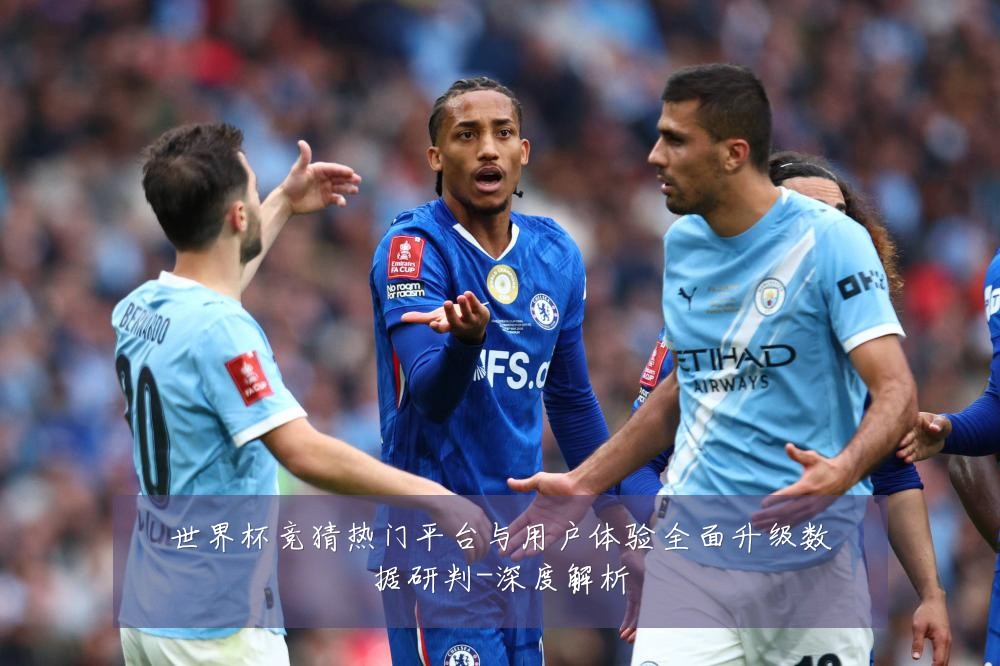 世界杯竞猜热门平台与用户体验全面升级数据研判-深度解析