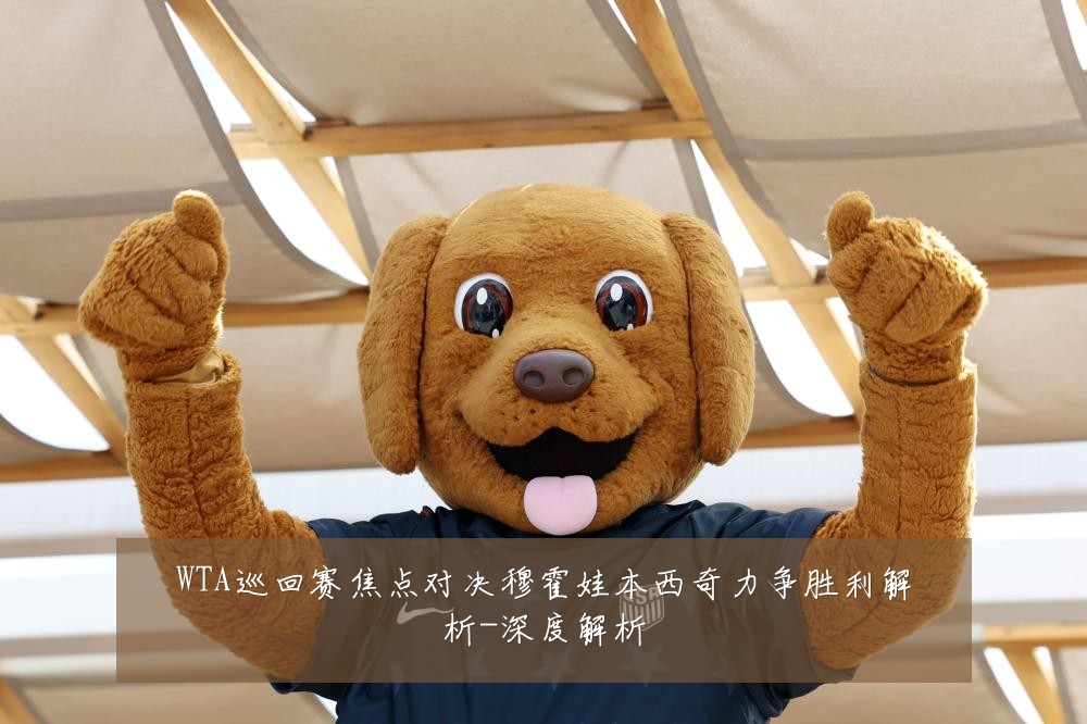 WTA巡回赛焦点对决穆霍娃本西奇力争胜利解析-深度解析